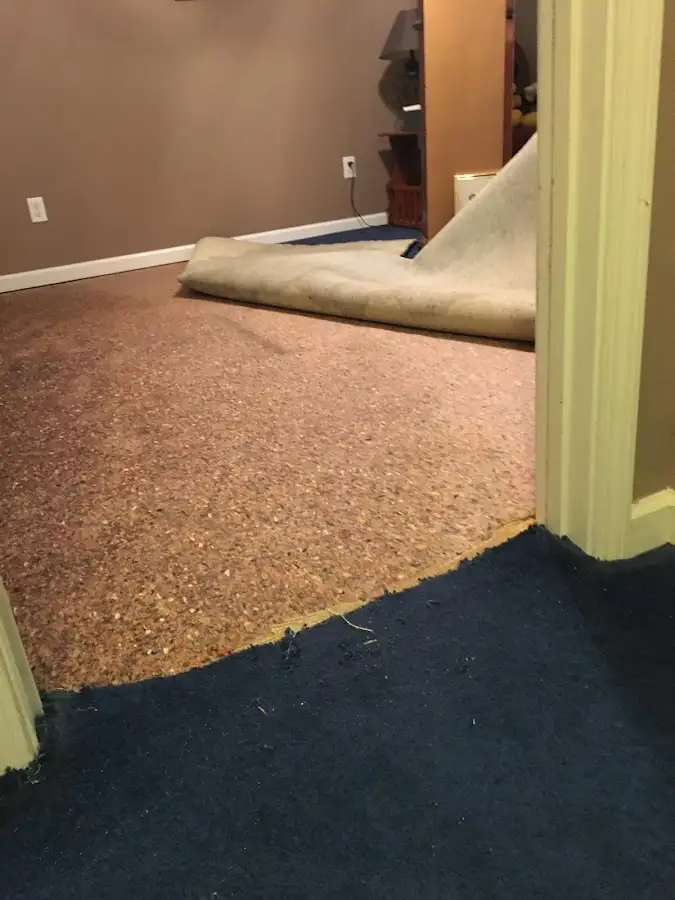 Carpet pad removal revealing water damage during Water Mitigation Services in Hadley