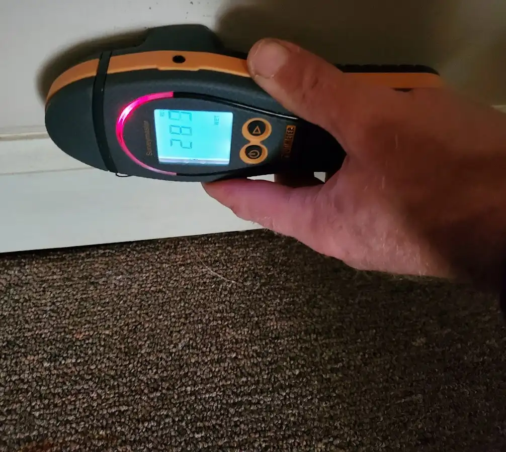 Moisture detection at baseboard during Sewage Cleanup & Sanitation in Hadley